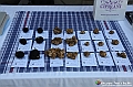VBS_4128 - Fiera Nazionale del Tartufo Bianco 2024_2